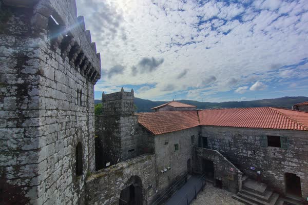 Tellados e torres do castelo dende o alto